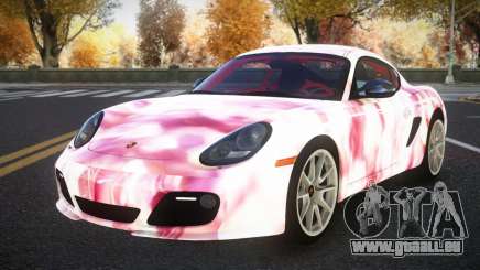 Porsche Cayman Ronthy S10 für GTA 4