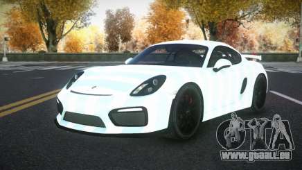 Porsche Cayman Riley S8 pour GTA 4
