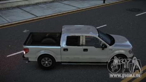 Ford F150 Renpevic für GTA 4