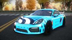 Porsche Cayman Nitosaly S13