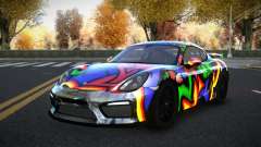 Porsche Cayman Nitosaly S14