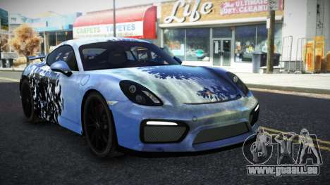 Porsche Cayman Maslia S4 für GTA 4
