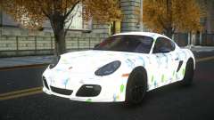 Porsche Cayman Sonlie S10 für GTA 4