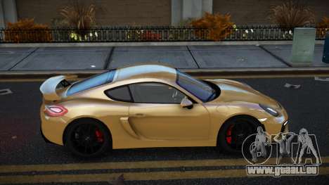 Porsche Cayman Matnily für GTA 4