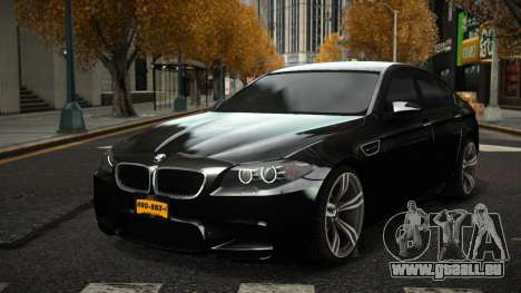 BMW M5 F10 Gaviyi für GTA 4