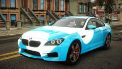 BMW M6 Naid S13