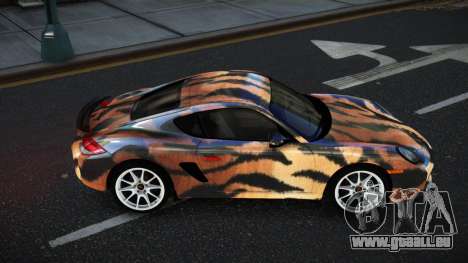 Porsche Cayman Anilca S10 für GTA 4