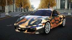 Porsche Cayman Anilca S10 für GTA 4