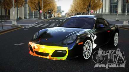 Porsche Cayman Anilca S1 für GTA 4