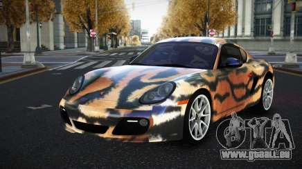Porsche Cayman Anilca S10 für GTA 4