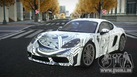 Porsche Cayman Ganbrlie S4 für GTA 4