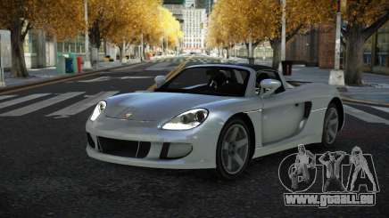 Porsche Carrera GT Nemapo für GTA 4