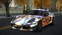 Porsche Cayman Soly S10