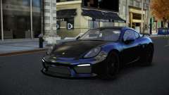 Porsche Cayman GT4 Ahep
