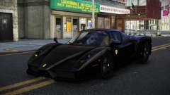 Ferrari Enzo Timdata