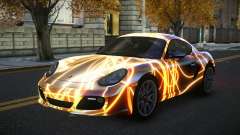 Porsche Cayman Soly S5 für GTA 4