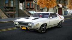 Plymouth Roadrunner Wujjeji