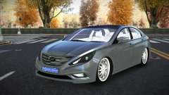 Hyundai Sonata Rovis
