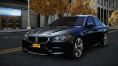 BMW M5 F10 Afis