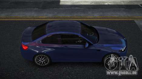 BMW M2 Sebran für GTA 4