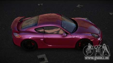 Porsche Cayman GT Venler für GTA 4