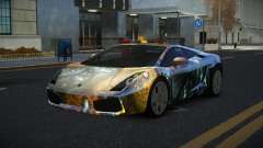 Lamborghini Gallardo Nase S12