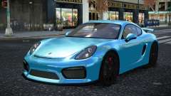 Porsche Cayman GT4 Zeblose
