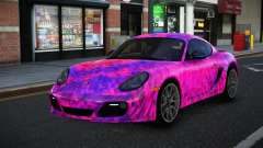 Porsche Cayman Linclasa S2 für GTA 4
