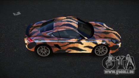 Porsche Cayman Losder S10 für GTA 4