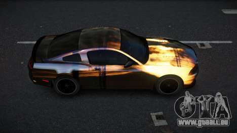 Ford Mustang Sokay S10 für GTA 4